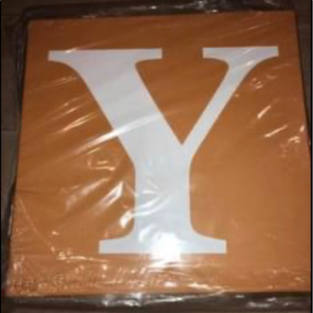 Avalisa 18” stretched Canvas upper letter Y alphabet wall art orange